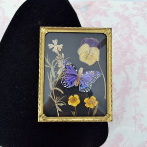 May include: A rectangular brass frame containing a pressed purple butterfly, a large yellow and purple pansy, two small yellow flowers, and a sprig of white flowers against a black background. The frame features decorative corner accents.