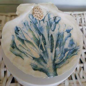 May include: A large, white seashell with a blue and green coral design painted on its surface. A small, textured, beige piece is attached to the shell. The shell is resting on a white, round surface.