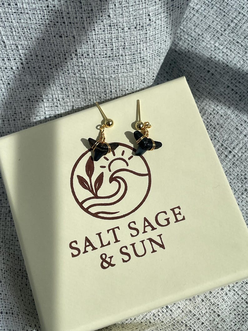May include: Gold-colored earrings with black, star-shaped stones. The earrings are displayed on a cream-colored box with the text "SALT SAGE & SUN" and a logo featuring a wave and sun design.