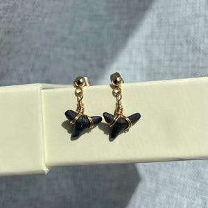 May include: A pair of earrings featuring black shark teeth wrapped in gold-colored wire. The earrings have gold-colored posts. The jewelry is displayed on a light-colored surface.