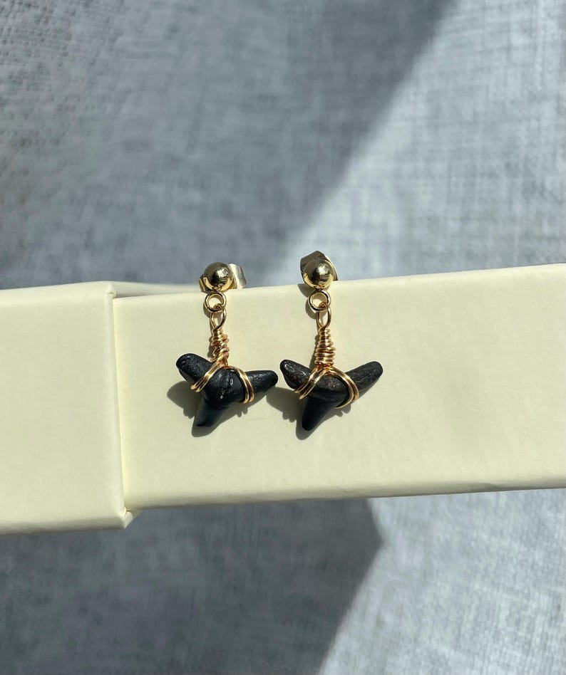 May include: A pair of earrings featuring black shark teeth wrapped in gold-colored wire. The earrings have gold-colored posts. The jewelry is displayed on a light-colored surface.