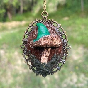 Puede incluir: Colgante artesanal con diseño de seta. La seta tiene un sombrero marrón y una parte superior verde, engastada en un marco ornamental de color bronce. El colgante cuelga de una delicada cadena dorada.