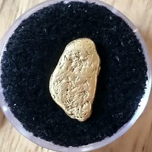 HUGE Washington State Natural Gold Nugget 2.98 grams