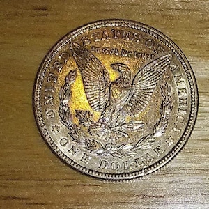 Pu&ograve; includere: Una moneta d'argento da un dollaro con le parole "United States of America" e "One Dollar" incise sul bordo. La moneta presenta un'immagine di un'aquila calva con le ali spiegate, posata su un ramo con foglie. Le parole "In God We Trust" sono incise sopra l'aquila.