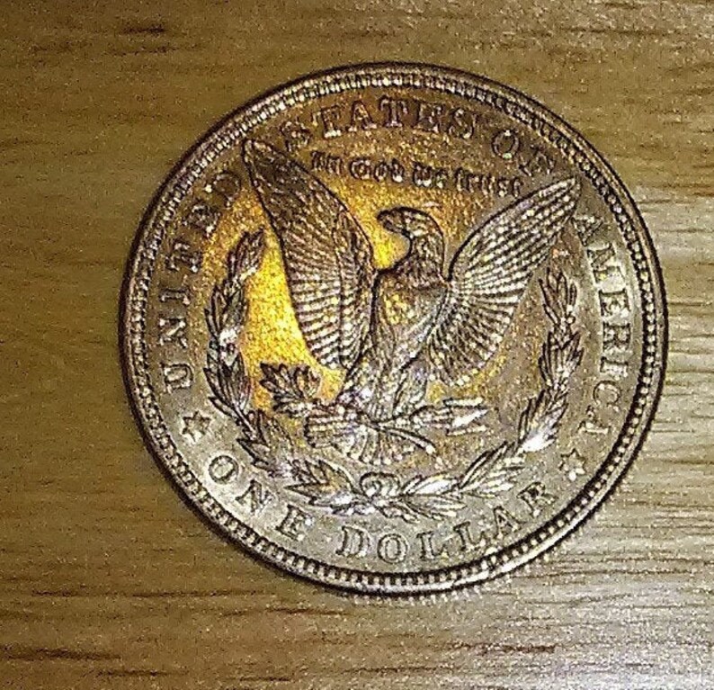 Pu&ograve; includere: Una moneta d'argento da un dollaro con le parole "United States of America" e "One Dollar" incise sul bordo. La moneta presenta un'immagine di un'aquila calva con le ali spiegate, posata su un ramo con foglie. Le parole "In God We Trust" sono incise sopra l'aquila.