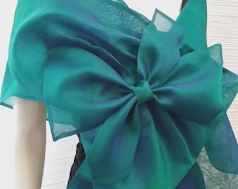 Organza Evening Wrap