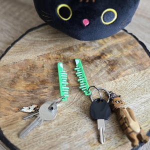 Könnte beinhalten: Zwei grüne, kammförmige Schlüsselanhänger mit Schlüsseln. Ein Schlüsselanhänger hat einen kleinen Hundeanhänger, der andere einen schwarzen Schlüssel. Im Hintergrund ein schwarzes Katzenplüschtier.