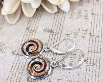 Sterling Silver Nautilus Earrings, Birthday Gift for Daughter, Swirl Earrings Infinity, Silver Earrings Gold, Cute Easter Basket Fillers for