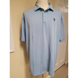 May include: Light blue and white striped polo shirt with a collared neckline and short sleeves. The shirt features a small dark blue logo on the chest and a three-button placket. The shirt is displayed on a mannequin.