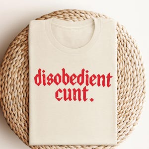Disobedient Gothic Statement Shirt: Hot Girl Funny Tee, Bad Girl Rebellious Humor T-Shirt, Edgy Feminist Graphic Holiday Gift Top for Her