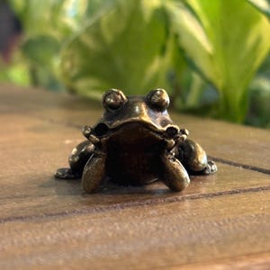 Brass Frog