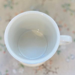 Puede incluir: Vista superior de una taza de cer&aacute;mica blanca con asa. La taza est&aacute; vac&iacute;a y limpia, con un acabado liso y brillante. El interior es de color azul claro. La taza est&aacute; sobre un fondo con estampado floral.