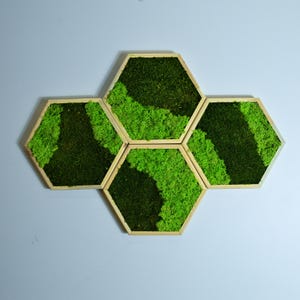 Hexagon Wall Moss Art, Honeycomb Moss Wall Decor, Moss And Wooden Wall Sets, Preserved Moss Wall Decor, Living Wall Decor, Gift for Him