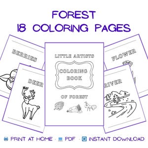 Forest Coloring Pages for Kids: 18 Printable Sheets (PDF Download A4 Size)