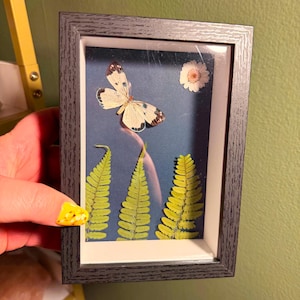 May include: A framed artwork displaying a butterfly with white and brown patterns, a small white flower, and green fern leaves against a blue backdrop. The frame is dark grey.