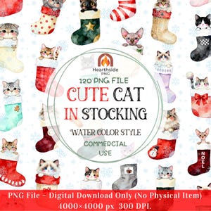 Könnte beinhalten: Aquarell-Illustration mit Katzen in Weihnachtsstrümpfen. Die Strümpfe sind rot, grün und weiß, mit Schneeflocken-Akzenten. Der Text lautet "Cute Cat in Stocking" und "Water Color Style".