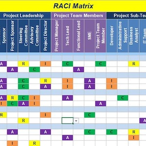 Puede incluir: Se muestra una matriz RACI, una herramienta de gestión de proyectos. La matriz es una cuadrícula con filas para las actividades del proyecto y columnas para los roles. Las celdas coloreadas indican asignaciones de responsabilidad.