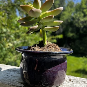 Small Purple Stoneware Planter | Handmade Ceramic Succulent Pot, Neon Blue Rim