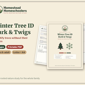 Könnte beinhalten: Ein sechsseitiger, druckbarer PDF-Studienführer mit dem Titel Winter Tree ID Bark & Twigs. Das Dokument enthält ein grünes Baum- und Schneeflockensymbol, Text für das Alter 6-Erwachsene und Anleitungen zur Bestimmung von Bäumen ohne Blätter.