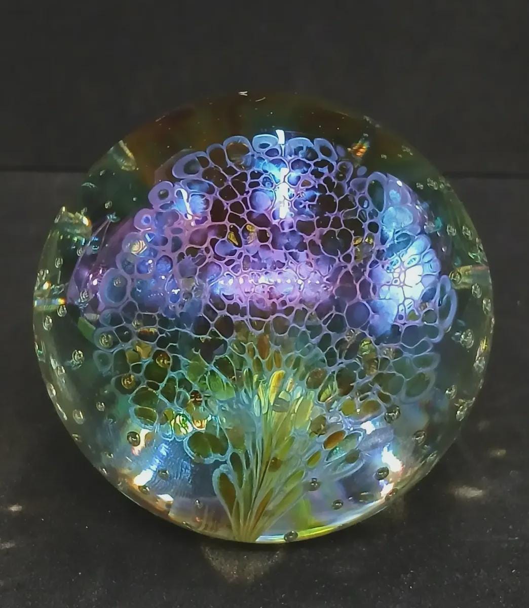 Glass Eye Studio Paperweight - Etsy