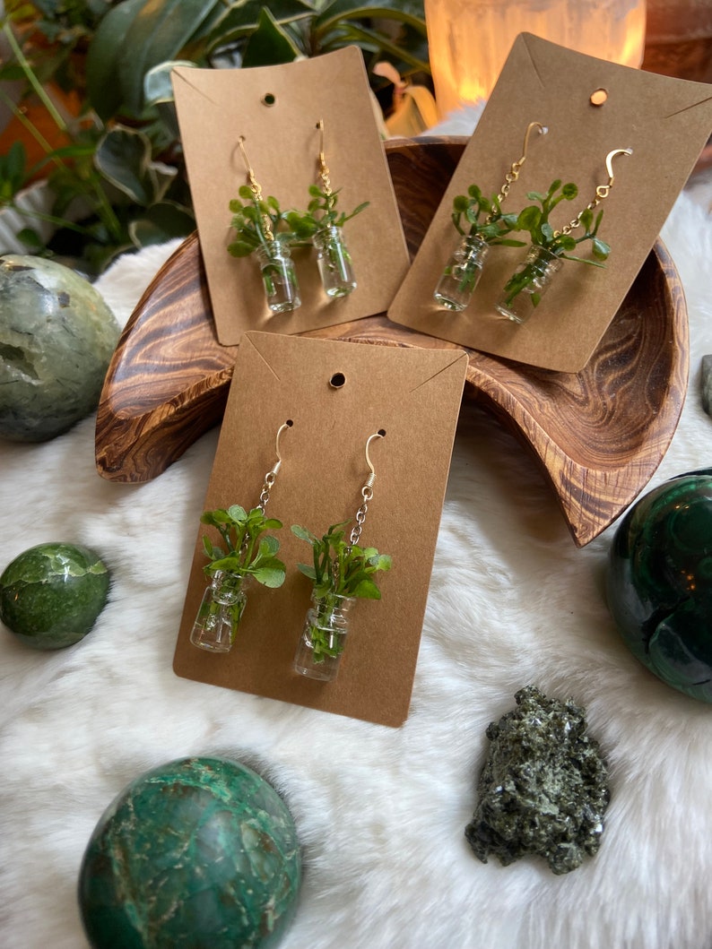 Propagation Earrings Mini Plant Jewelry Gifts for Plant Lovers and Moms
