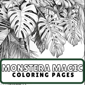 monstera athens Monstera Adansonii Swiss Cheese Vining Climbing in Trellis – Eureka Farms main image 0