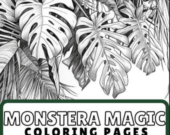 philodendron siam sunrise variegata Philodendron Hybrid Jennifer (Billitiae x Florida Beauty)