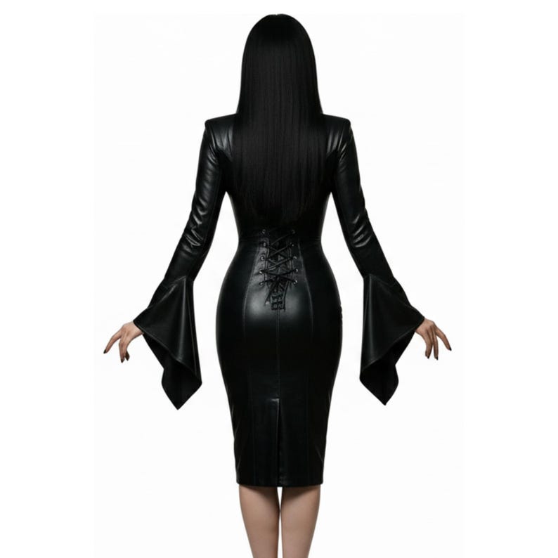 N748 Morticia Addams Family Miss Darkness Women's Goth Halloween Costume Dress