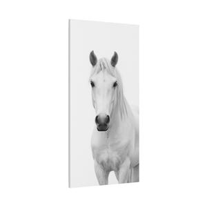 Pale Whisper. White Horse Black and White Wall Art, Equine Canvas Portrait Print, Western Ranch Decor, Minimalist Horse Canvas