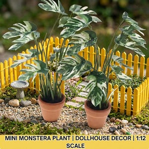 Op de afbeelding: Twee miniatuur bonte monstera planten in terracotta-kleurige potten. Elke plant heeft gespleten, groen-witte bladeren aan dunne stengels. De tekst onderaan luidt: MINI MONSTERA PLANT | DOLLHOUSE DECOR | 1:12 SCALE.