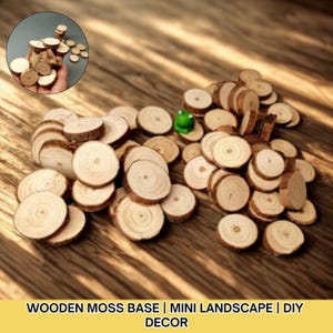 10 PCS Miniature Moss World | DIY Micro jardin, terrarium, accessoires en bois en pot