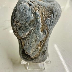 May include: A grey-blue rock with a rough, textured surface and areas of tan and brown. The rock is displayed on a clear acrylic stand. Its irregular shape suggests it is a natural specimen. The rock's appearance is weathered and organic.