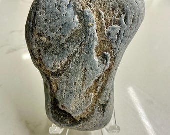 Angel Silhouette Fossil Stone – 430 Million Years Old, Silurian Sea