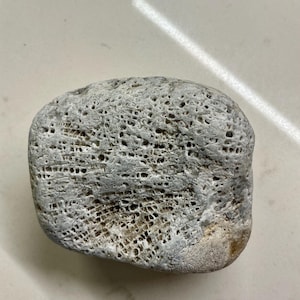 May include: A weathered, porous rock in shades of light grey and tan. The surface is covered in many small holes, giving it a textured look. The stone is rounded and appears to be naturally formed, with a unique, pitted texture.