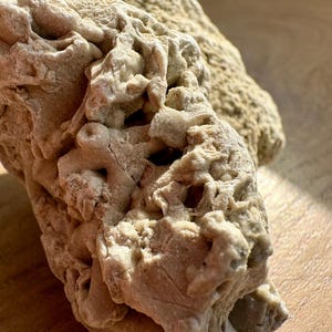 May include: Close-up of two beige-coloured, textured rocks. The rocks have a porous, weathered appearance with irregular shapes and varying surface details. The lighting highlights the rough texture and natural formations.