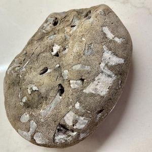 May include: A weathered, oblong rock with a rough, textured surface. The rock is primarily a muted brown colour, with irregular patches of white and small holes. The stone's shape is somewhat rounded, suggesting it has been smoothed by natural processes.