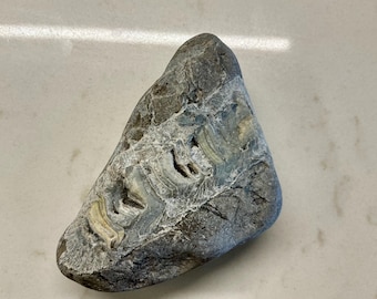 430 Million Year Old Chain Coral Fossil (Halysites)