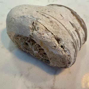 Puede incluir: Una piedra oblonga y erosionada, en tonos gris claro y beige. La piedra tiene una superficie rugosa y texturizada con estrías visibles y zonas porosas. La forma general es redondeada, con una estética natural y orgánica.