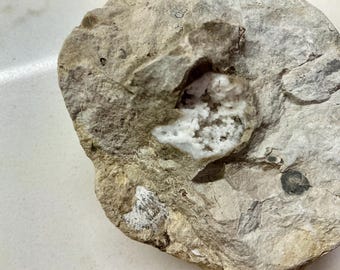 Ancient Spark Crystal Pocket in Limestone – 430 Million-Year-Old Canadian Fossil Stone