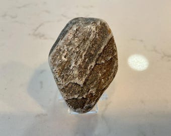 Ammonite Rock Acasta Gneiss Rock Fragment – The Oldest Known Rock