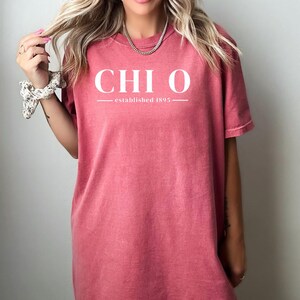 Op de afbeelding: Een stoffig roze T-shirt met de witte tekst "CHI O" en "established 1895". Het shirt heeft korte mouwen en een relaxte pasvorm. Het model draagt een zilveren ketting.