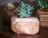 Wood Succulent Planter - Indoor Plant Holder - Reclaimed Wood Planter
