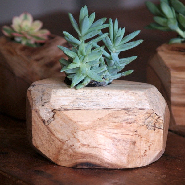Wood Succulent Planter - Indoor Plant Holder - Reclaimed Wood Planter