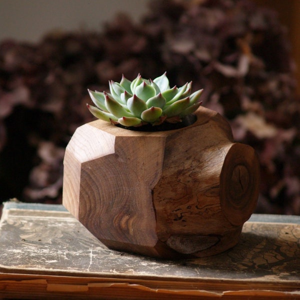 Succulent Planter - Wood Plant Holder - Reclaimed Faceted Planter