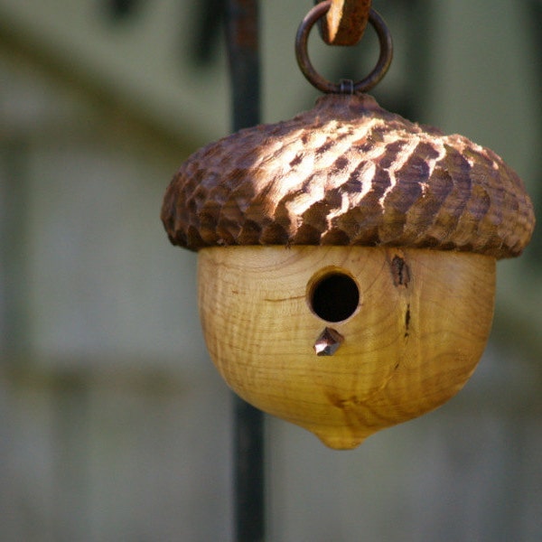 Woodland Acorn Birdhouse, Decorative Birdhouse, Rustic Decor, Naturalist