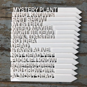 Funny Gardening Gift, Funny Garden Stakes, Plant lover gift, Funny Plant Markers, Gardening Gift, Garden Markers, Garden Decoration, Garden