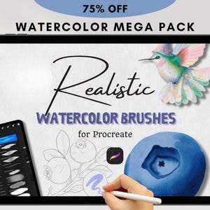 Procreate Watercolor Brush Set: Digital Brushes, Textures, Sketches (PDF Guide Included)