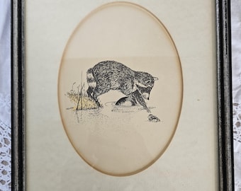 Vintage Racoon Sketch framed with matting.