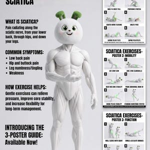 May include: A three-poster guide titled Take Control of Your Sciatica featuring a white muscular character with rabbit ears. The posters display numbered exercise routines for foundation, mobility, and function, including text descriptions of symptoms.