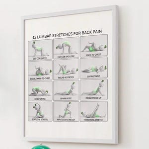 May include: A white framed poster titled 12 LUMBAR STRETCHES FOR BACK PAIN. It features twelve individual panels showing a stylized white figure performing various stretches, with light green highlights indicating the targeted muscle areas.